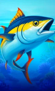 Big Boat Big Catch