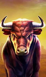 Black Bull